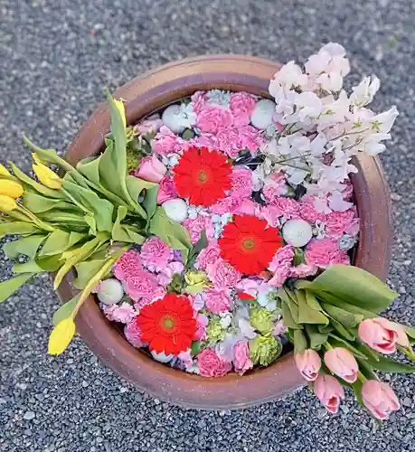 釋迦院（釈迦院）(大阪府)