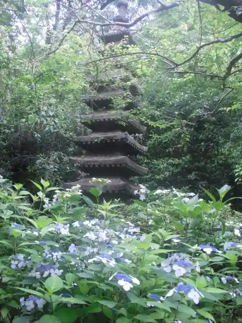 安國論寺(安国論寺)の塔