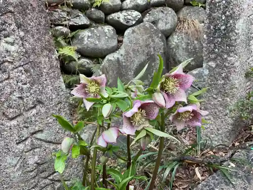 関善光寺(岐阜県)