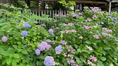 彌勒寺(宮城県)