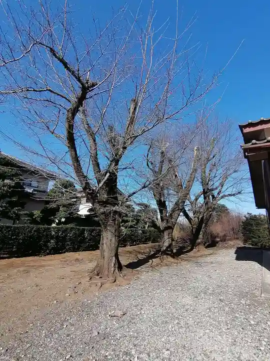 伏木香取神社の自然