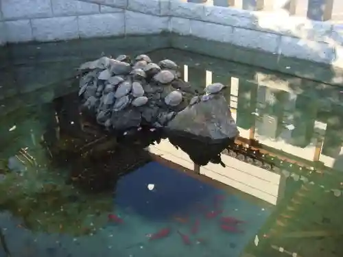 成田山新勝寺の動物