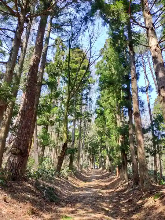 土津神社|こどもと出世の神さまの自然