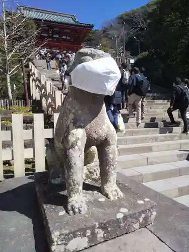 鶴岡八幡宮の狛犬