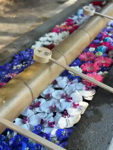 群馬県護国神社(群馬県)