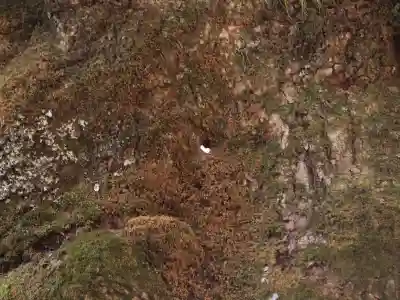 熊野皇大神社の{uncategorized: "未分類", other: "その他", undefined: "問題あり", building: "その他建物", grave: "お墓", sacred_gate: "鳥居", guardian: "狛犬", statue: "像", buddha: "仏像", history: "歴史", nature: "自然", garden: "庭園", animal: "動物", pagoda: "塔", temizu: "手水舎", mountain_gate: "山門・神門", sanctuary: "本殿・本堂", subordinate: "末社・摂社", art: "芸術", scenery: "景色", jizo: "地蔵", ema: "絵馬", goshuin: "御朱印", omikuji: "おみくじ", items: "授与品その他", amulet: "お守り", goshuincho: "御朱印帳", eats: "食事", festival: "お祭り", votive_dance: "神楽", shichigosan: "七五三参", wedding: "結婚式", experience: "体験その他", initially: "初詣", around: "周辺", anti_infection: "感染症対策"}