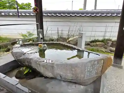 甲山寺の手水舎
