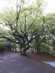 相馬神社の自然