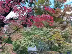 禅林寺（永観堂）(京都府)