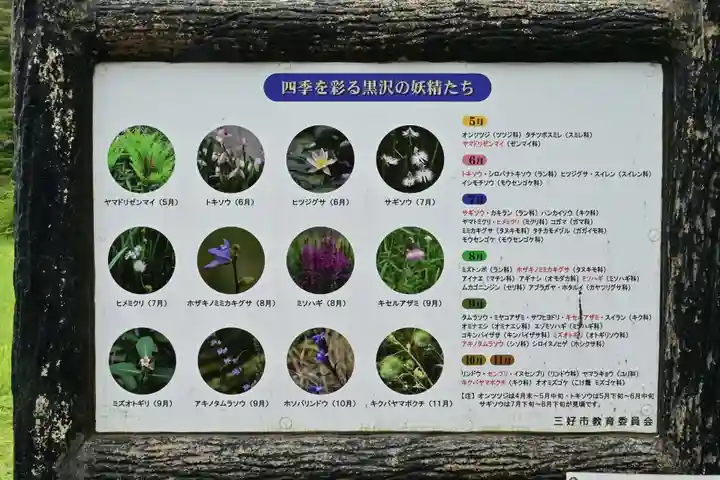 黒澤大師(徳島県)