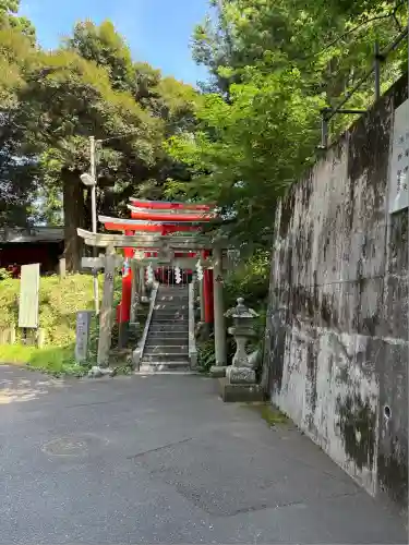 大杉神社(茨城県)