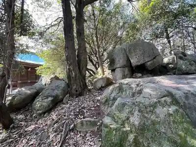 國分八幡宮の自然