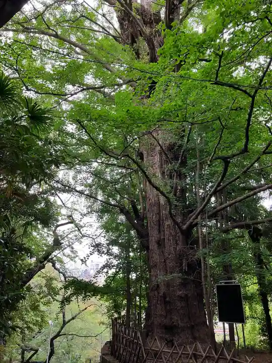 王子神社(東京都)