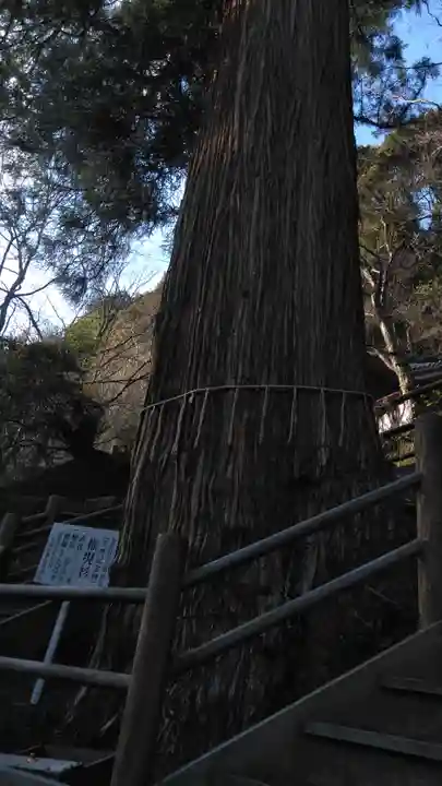 八女津媛神社の自然