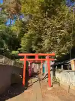 稲荷神社(千葉県)