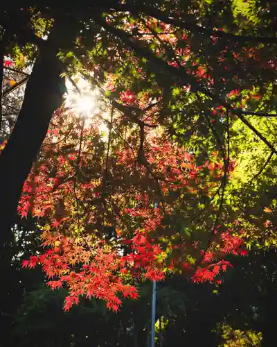 滋賀県護国神社(滋賀県)
