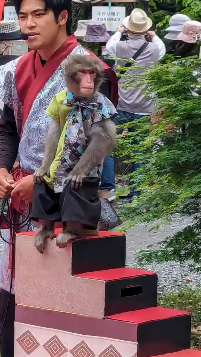 長岡天満宮(京都府)