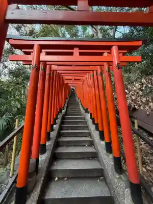 日枝神社の御朱印
