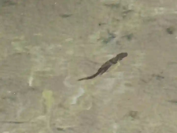 明寿院(滋賀県)