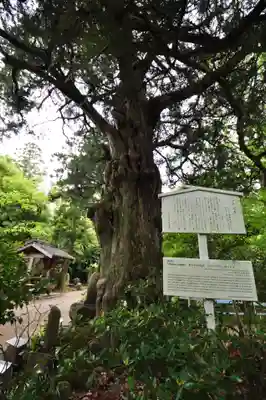 浄瑠璃寺(愛媛県)