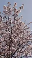 相馬神社の自然