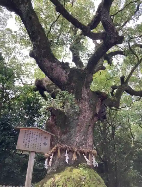 熱田神宮(愛知県)