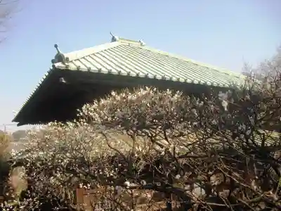 英勝寺のその他建物