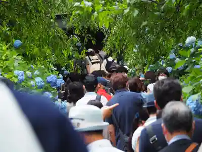 明月院(神奈川県)