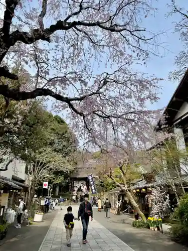 深大寺の建物その他