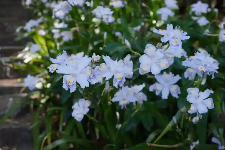 杉山谷不動尊(京都府)