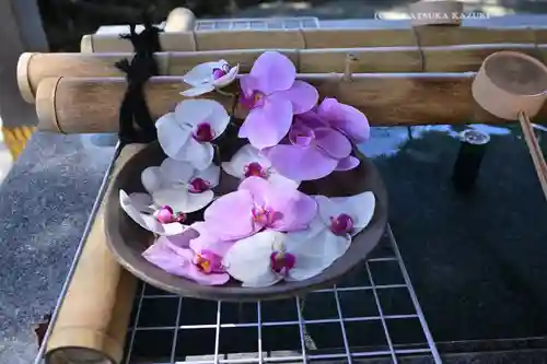 鈴鹿明神社(神奈川県)