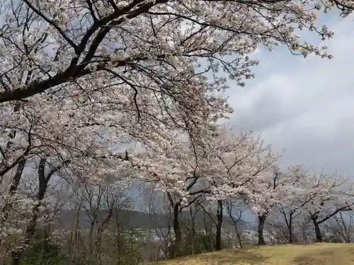 妙法寺(福井県)
