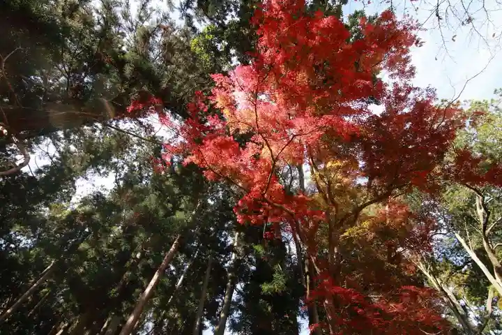 田村神社の景色