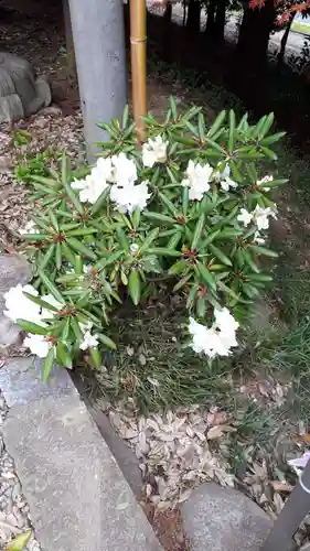滑川神社 - 仕事と子どもの守り神の自然