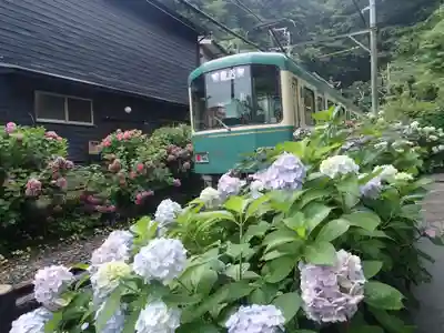 御霊神社の周辺