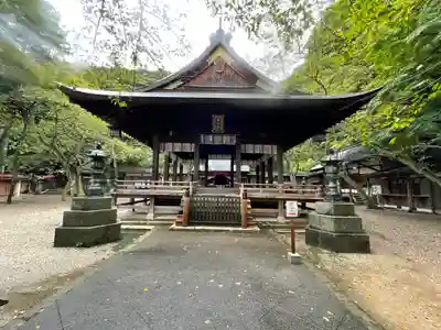 金崎宮の本殿・本堂