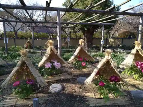 筥崎宮(福岡県)