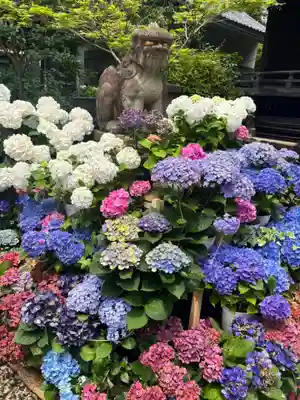 白山神社(東京都)