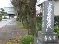 常在寺のその他建物