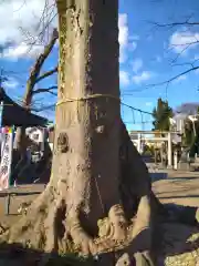 八枝神社の自然