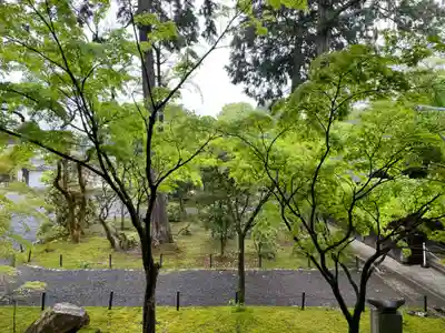 真正極楽寺(真如堂)(京都府)