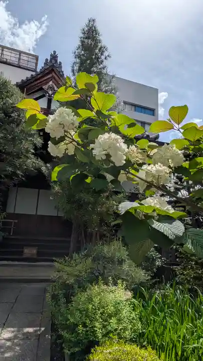 宝蔵寺(京都府)