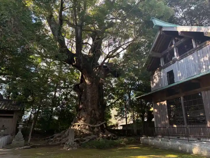 川津来宮神社の{uncategorized: "未分類", other: "その他", undefined: "問題あり", building: "その他建物", grave: "お墓", sacred_gate: "鳥居", guardian: "狛犬", statue: "像", buddha: "仏像", history: "歴史", nature: "自然", garden: "庭園", animal: "動物", pagoda: "塔", temizu: "手水舎", mountain_gate: "山門・神門", sanctuary: "本殿・本堂", subordinate: "末社・摂社", art: "芸術", scenery: "景色", jizo: "地蔵", ema: "絵馬", goshuin: "御朱印", omikuji: "おみくじ", items: "授与品その他", amulet: "お守り", goshuincho: "御朱印帳", eats: "食事", festival: "お祭り", votive_dance: "神楽", shichigosan: "七五三参", wedding: "結婚式", experience: "体験その他", initially: "初詣", around: "周辺", anti_infection: "感染症対策"}