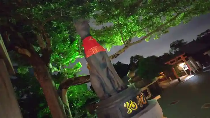 伏見稲荷大社(京都府)