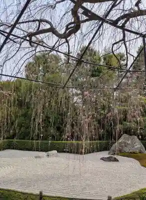 退蔵院(京都府)