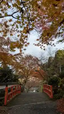 三千院門跡(京都府)