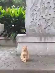 住吉大社の動物