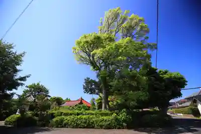 弘法寺のその他建物