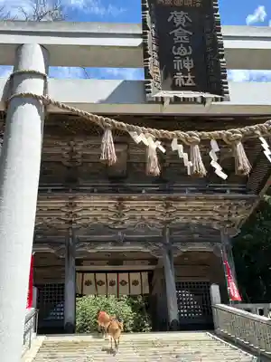 金華山黄金山神社(宮城県)