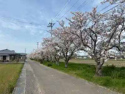 八坂神社(徳島県)